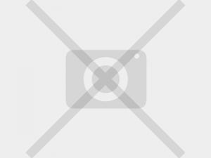 Manuel Isidorovich Schatz - Paesaggio russo