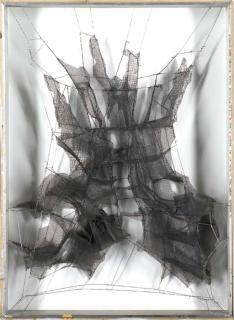 Manuel Rivera - Metamorfosis Coco