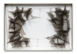 Manuel Rivera - Metamorfosis (eco)