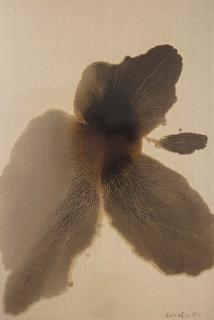 Mao Lizi - Withered Lotus