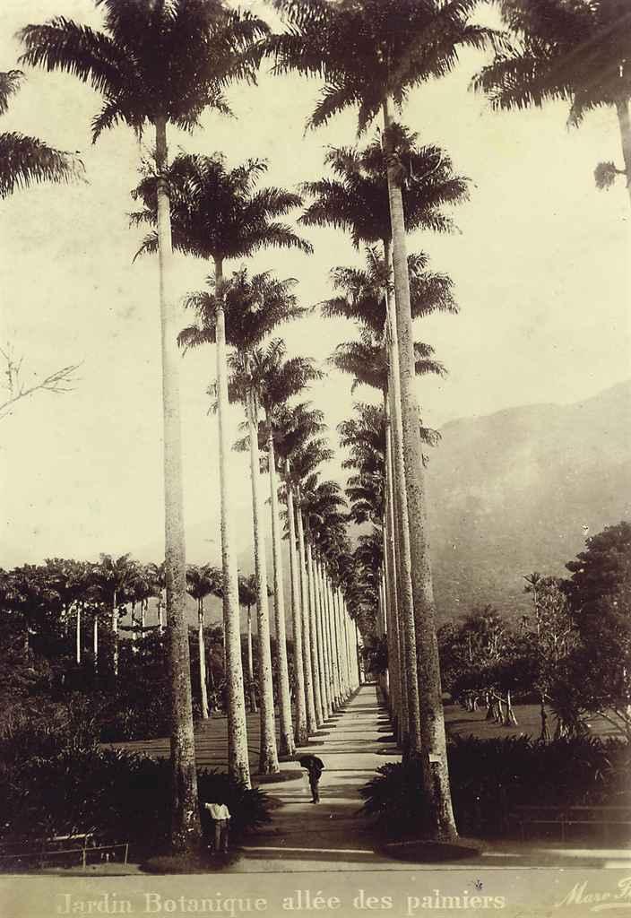 Marc Ferrez - Entree de Rio; Jardin Botanique allée des palmiers; Botanical gardens; Pont de Sylvestre-rampe 25 and Corcovado - Chmin de l\'aqueduc