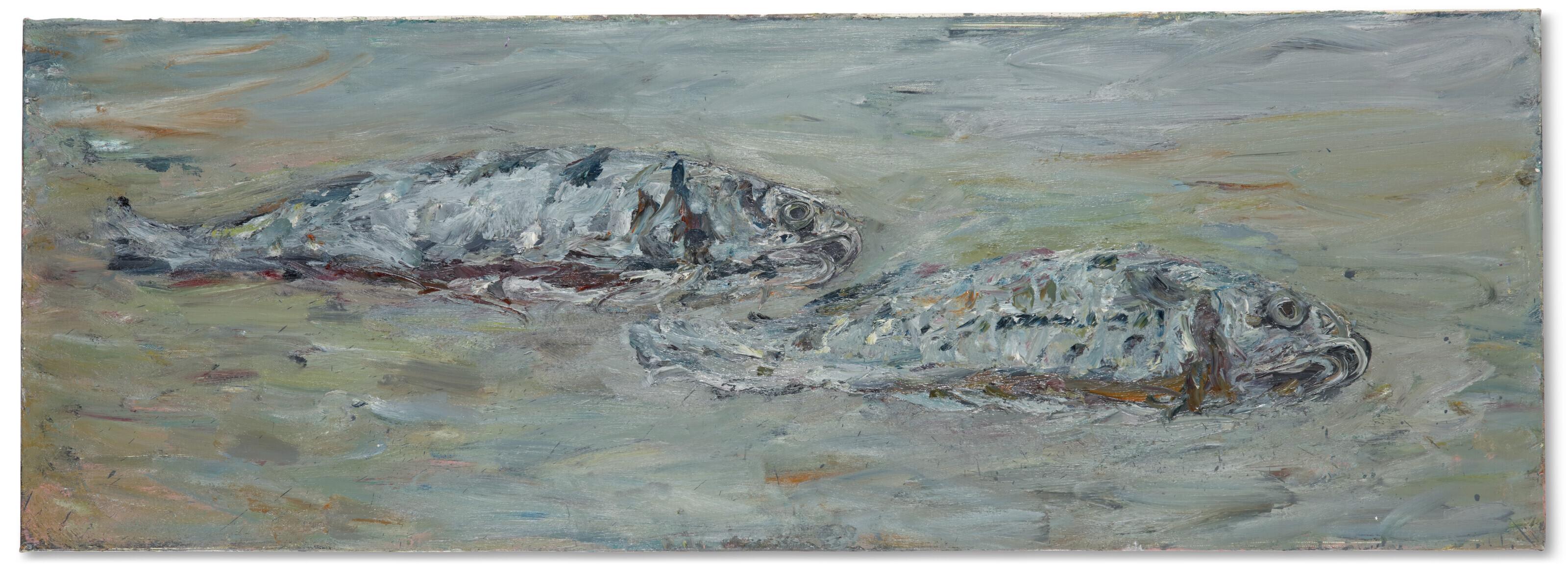 Marc Mulders - 2 VISSEN Vl