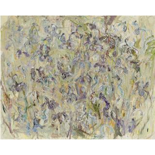 Marc Mulders - Dutch Bleke Irissen Iii