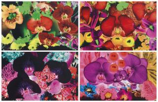 Marc Quinn - At the far edges of the universe: seven plates