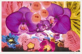 Marc Quinn - At The Far Edges Of The Universe