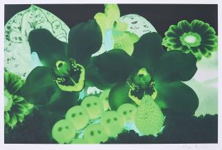 Marc Quinn - Aus: At the far edges of the universe.