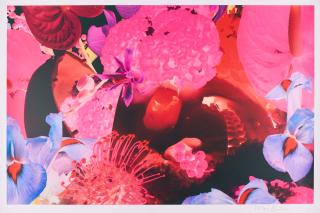 Marc Quinn - Aus: At the far edges of the universe.