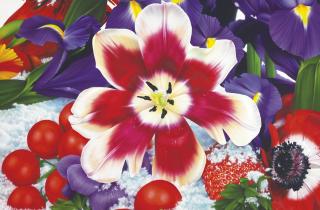 Marc Quinn - Ayles Ice Island