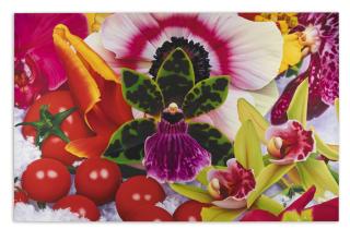 Marc Quinn - Bayan Spring