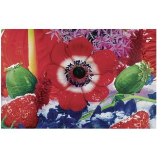 Marc Quinn - Biogeo Chemistry