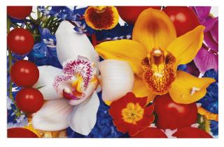 Marc Quinn - Chogolisa Sunrise