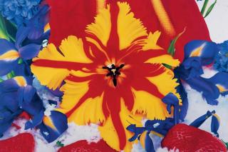 Marc Quinn - Compass