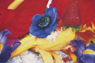 Marc Quinn - Essex Tundra (Blue Lagoon)