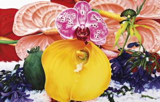 Marc Quinn - Flood Plane Of Tributaries Of The Orinocco