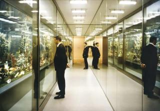 Marc Quinn - Garden Twice