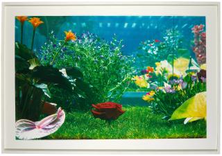 Marc Quinn - Garden2