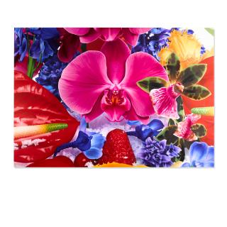 Marc Quinn - Grasshopper Infestation Near Ranohira Madagascar, 2009