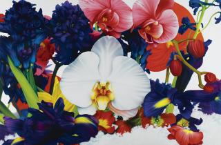 Marc Quinn - Greenland