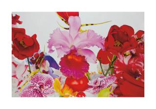 Marc Quinn - Hanuman Jayanti at Dasaswamedh Ghat