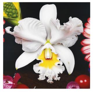 Marc Quinn - In The Night Garden: Chiron Comet