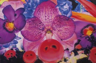 Marc Quinn - In the Night Garden: The Surface of Mars