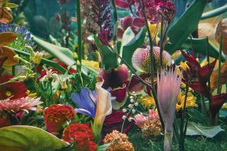 Marc Quinn - Italian Landscape (4)