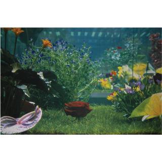 Marc Quinn - Italian Landscape (9)