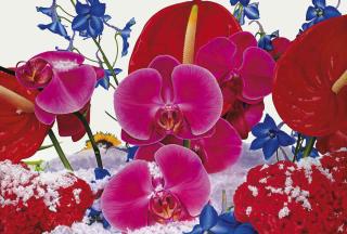 Marc Quinn - Mangroves In The Everglades