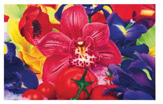 Marc Quinn - Musk Oxen of the Zaire Flood Plane