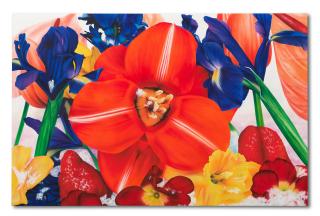 Marc Quinn - Night Time Polar Region, 2007