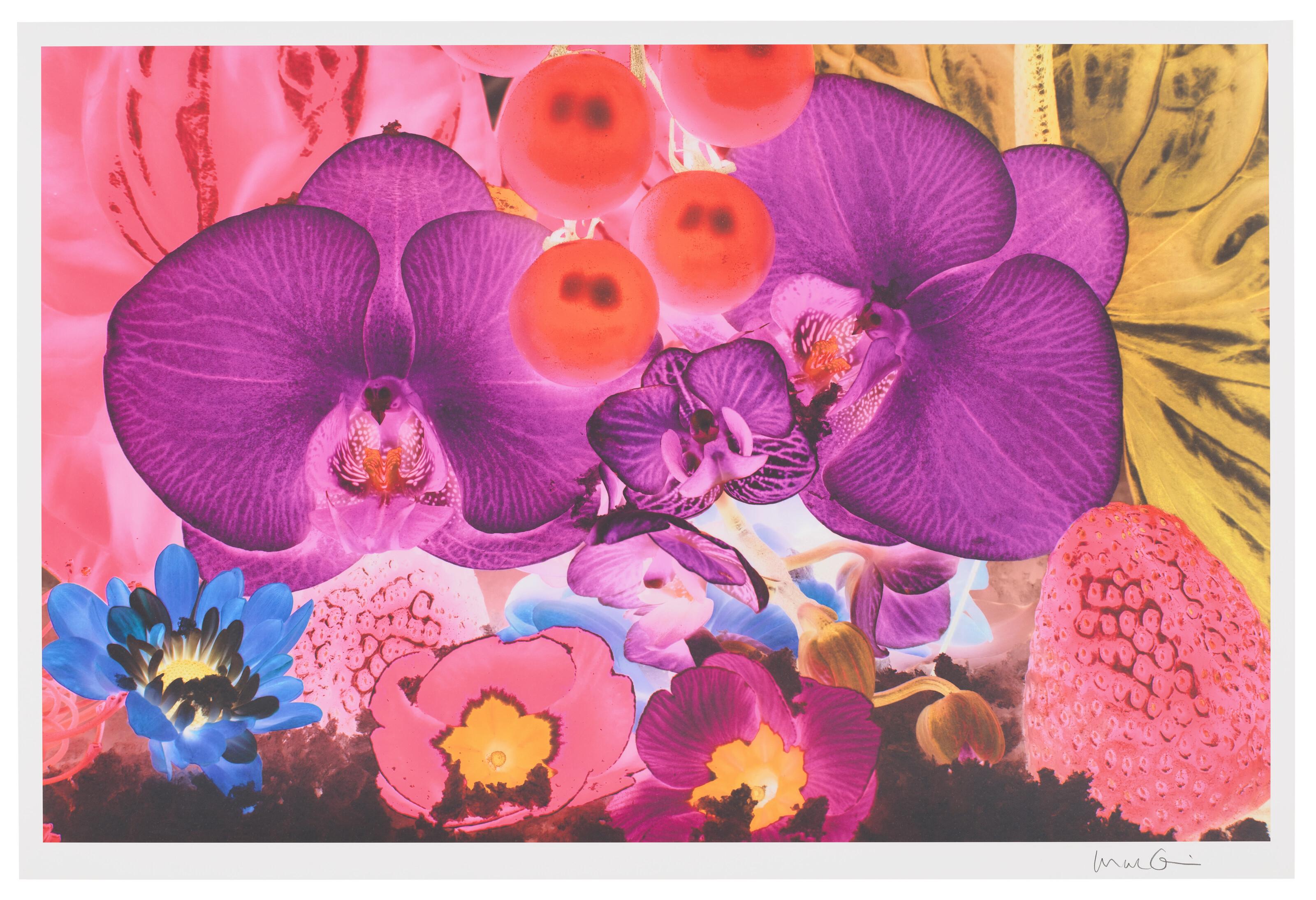 Marc Quinn - Plate 4, from: At the far edges of the universe