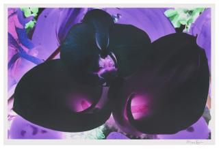 Marc Quinn - Plate 6, from: At the far edges of the universe