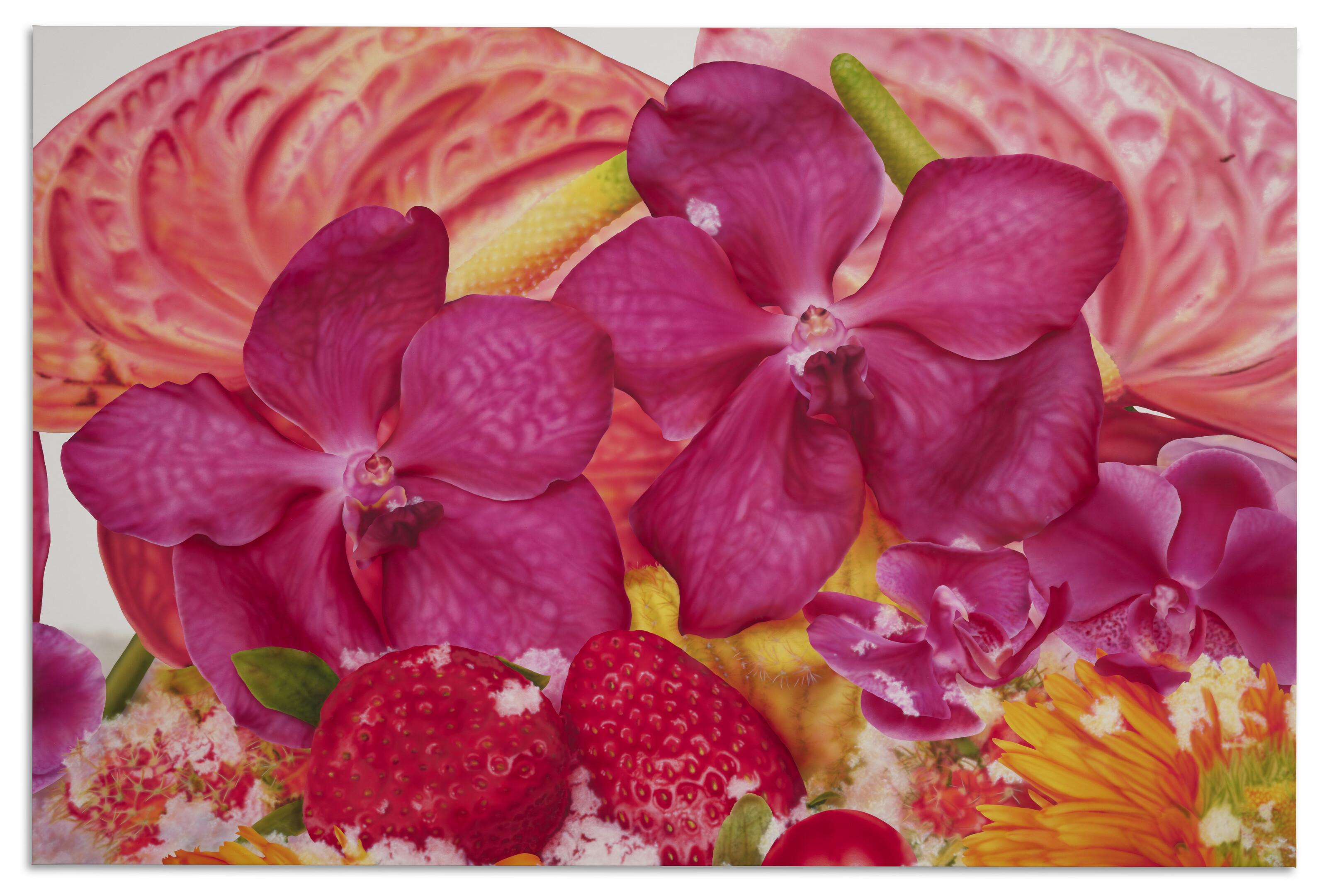 Marc Quinn - Pokhara Rice Paddies