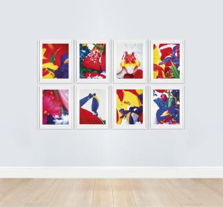 Marc Quinn - Portraits Of Landscapes