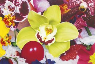 Marc Quinn - Queen Maude Land