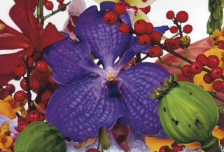 Marc Quinn - Sarasvati River Delta