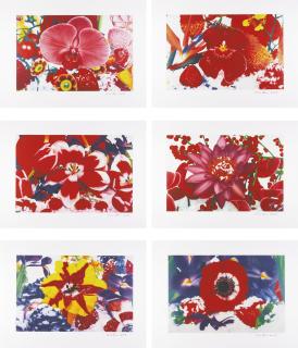 Marc Quinn - Six Moments Of Sunrise