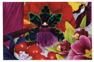 Marc Quinn - Spring in the Apennines