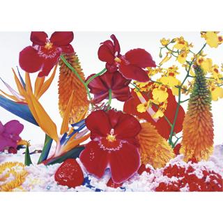 Marc Quinn - Stratospheric Ozone