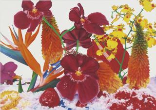 Marc Quinn - Stratospheric Ozone