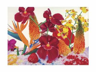 Marc Quinn - Stratospheric Ozone