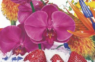 Marc Quinn - Summer In Frobisher Bay