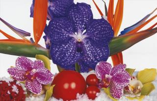 Marc Quinn - Summit Of Annapurna