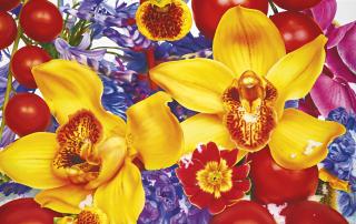 Marc Quinn - Sunrise And Sunset