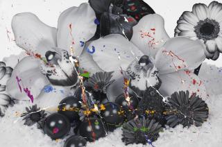 Marc Quinn - The Architecture Of Nature