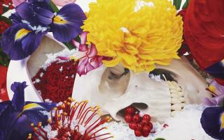 Marc Quinn - The Beautiful Reassimilation