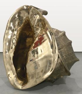 Marc Quinn - The Origin Of The World (Cassis Madagascariensis) Longitudes