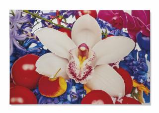 Marc Quinn - The Slopes of Mount Abu