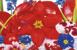 Marc Quinn - The White Infinity