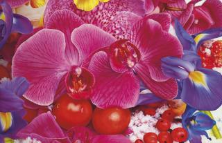 Marc Quinn - The World\'S Beginning